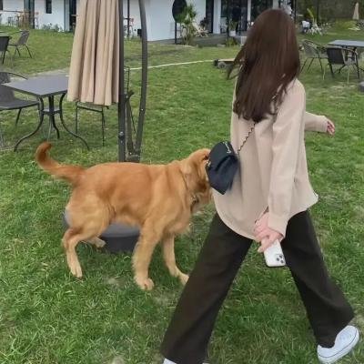 疯狂衣橱第一季